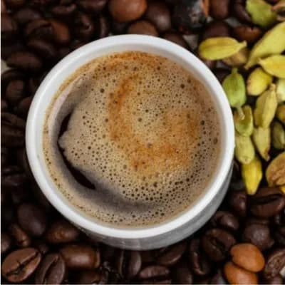 الأطباق الرئيسية